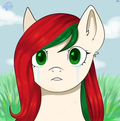Size: 1580x1600 | Tagged: safe, artist:ske, oc, oc only, pony, belarus, crying, ponified, solo
