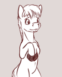 Size: 842x1047 | Tagged: safe, artist:fynjy-87, earth pony, pony, blonde mane, male, stallion