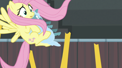 Size: 1920x1080 | Tagged: safe, screencap, fluttershy, sheep, g4, growing up is hard to do, ewe