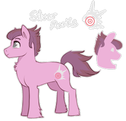 Size: 1151x1106 | Tagged: safe, artist:amiookamiwolf, oc, oc only, oc:silver marks, earth pony, pony, male, simple background, solo, stallion, transparent background