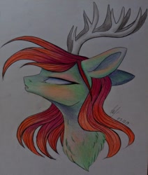 Size: 1080x1276 | Tagged: safe, artist:_quantumness_, oc, oc only, deer, deer pony, original species, pony, antlers, bust, chest fluff, signature, simple background, solo, traditional art, white background, white eyes