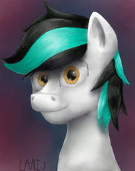 Size: 506x639 | Tagged: safe, artist:laninota8, oc, pony, bust, looking at you, portrait