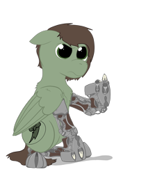 Size: 2996x3516 | Tagged: safe, artist:capt-sierrasparx, oc, oc only, oc:grounder, cyborg, pegasus, pony, fallout equestria, amputee, brand, dashite, dashite brand, fallout, female, flipping off, foe adventures, high res, mare, prosthetic leg, prosthetic limb, prosthetics, simple background, solo, talons, transparent background