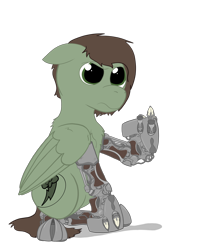 Size: 2996x3516 | Tagged: safe, artist:capt-sierrasparx, oc, oc only, oc:grounder, cyborg, pegasus, pony, fallout equestria, amputee, brand, branded, dashite, dashite brand, fallout, female, flipping off, foe adventures, high res, mare, prosthetic leg, prosthetic limb, prosthetics, simple background, solo, talons, transparent background