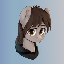 Size: 2000x2000 | Tagged: safe, alternate version, artist:shooshaa, pegasus, pony, bust, clothes, commission, hair over one eye, high res, hood, hoodie, male, mikey way, my chemical romance, ponified, raised eyebrow, solo, stallion, ych result