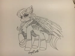 Size: 2048x1536 | Tagged: safe, artist:pearl123_art, oc, oc only, pegasus, pony, chest fluff, ear fluff, lineart, pegasus oc, raised hoof, signature, solo, traditional art, wings