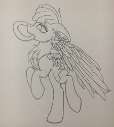 Size: 1842x2048 | Tagged: safe, artist:pearl123_art, oc, oc only, pegasus, pony, chest fluff, ear fluff, frisbee, lineart, mouth hold, pegasus oc, rearing, solo, traditional art, wings