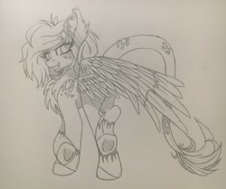 Size: 2048x1710 | Tagged: safe, artist:pearl123_art, oc, oc only, pegasus, pony, chest fluff, ear fluff, leonine tail, lineart, pegasus oc, raised hoof, smiling, solo, traditional art, underhoof, wings