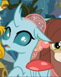 Size: 611x772 | Tagged: safe, screencap, ocellus, yona, g4, school daze, cropped, female, looking at you, looking back, looking back at you, offscreen character, solo focus
