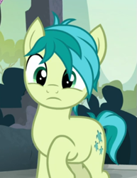 Size: 395x512 | Tagged: safe, screencap, sandbar, pony, g4, school daze, cropped, male, raised hoof, shocked, solo