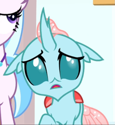 Size: 511x557 | Tagged: safe, screencap, ocellus, silverstream, changeling, a matter of principals, g4, confused, cropped, female, open mouth, solo