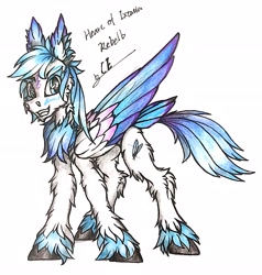 Size: 2448x2572 | Tagged: safe, artist:creature.exist, oc, oc only, oc:rebelb.winn, hybrid, original species, pegasus, pony, high res, solo, traditional art