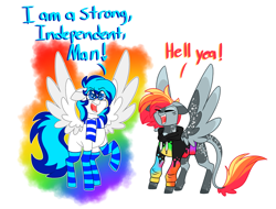 Size: 4500x3423 | Tagged: safe, artist:crazysketch101, oc, oc only, oc:crazy looncrest, oc:lighty, pegasus, pony, clothes, duo, leonine tail, scarf, simple background, socks, striped socks, tail, white background