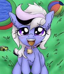 Size: 3600x4200 | Tagged: safe, artist:littlenaughtypony, oc, oc only, oc:whiskey lullaby, bee, insect, ball, bell, bell collar, collar, lawn, looking at you, looking up, minecraft, minecraft bee, open mouth, swimming pool