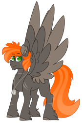 Size: 2592x3852 | Tagged: safe, artist:crazysketch101, oc, oc only, oc:ashton burnside, pegasus, pony, high res, simple background, solo, transparent background