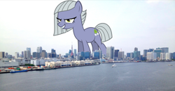 Size: 1024x538 | Tagged: safe, limestone pie, earth pony, pony, g4, female, giant earth pony, giant pony, giant/macro earth pony, giantess, highrise ponies, irl, limezilla, macro, mare, mega giant, photo, ponies in real life, solo, tokyo