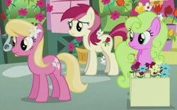 Size: 1798x1125 | Tagged: safe, screencap, daisy, flower wishes, lily, lily valley, roseluck, earth pony, pony, g4, slice of life (episode), cropped, female, flower trio, trio, trio female