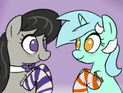 Size: 320x240 | Tagged: safe, artist:davierocket, lyra heartstrings, octavia melody, earth pony, pony, unicorn, g4, animated, blushing, boop, clothes, cute, eye contact, eyes closed, female, floppy ears, frame by frame, grin, looking at each other, loop, lyrabetes, mare, no pupils, purple background, simple background, smiling, socks, squee, striped socks, tavibetes