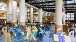 Size: 1920x1080 | Tagged: safe, blues, crescent pony, doctor whooves, lucky clover, mane moon, noteworthy, star hunter, thorn (g4), thunderlane, time turner, earth pony, pegasus, pony, g4, hotel, irl, male, photo, ponies in real life, stallion