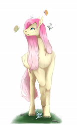 Size: 1920x3136 | Tagged: safe, artist:chao-xing, fluttershy, butterfly, insect, pegasus, pony, g4, female, mare, simple background, solo, white background