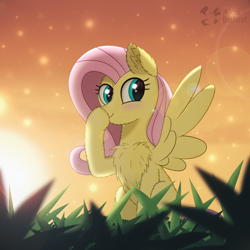 Size: 3000x3000 | Tagged: dead source, safe, artist:alexbefest, fluttershy, pegasus, pony, g4, chest fluff, cute, high res, shyabetes, sun, sunlight, sunset
