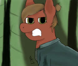 Size: 700x600 | Tagged: safe, artist:aj0sh, earth pony, pony, ellie, ponified, solo, the last of us part ii