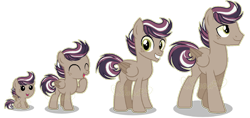 Size: 1280x606 | Tagged: safe, artist:star-gaze-pony, oc, oc only, oc:gizmo, pegasus, pony, age progression, baby, baby pony, colt, male, simple background, solo, stallion, teenager, transparent background