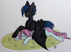Size: 1080x782 | Tagged: safe, artist:_quantumness_, oc, oc only, bat pony, earth pony, pony, bat pony oc, bat wings, braided tail, duo, earth pony oc, eyes closed, female, grass, lying down, male, mare, prone, signature, sleeping, stallion, traditional art, wings