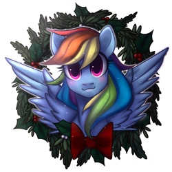 Size: 1024x1024 | Tagged: safe, artist:xrikox, rainbow dash, pegasus, pony, bow, bust, commission, cute, dashabetes, female, holly, looking at you, mare, portrait, simple background, solo, white background, wreath, ych result