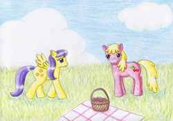 Size: 1735x1213 | Tagged: safe, artist:normaleeinsane, cherry berry, sunny rays, earth pony, pegasus, pony, g4, basket, cloud, day, picnic, picnic blanket, traditional art