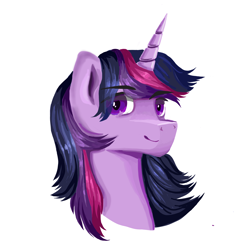 Size: 3000x3000 | Tagged: safe, artist:wimple, twilight sparkle, pony, unicorn, g4, bust, dusk shine, high res, male, rule 63, simple background, solo, white background