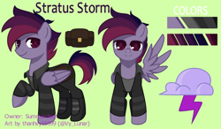 Size: 1370x800 | Tagged: safe, artist:helithusvy, oc, oc only, pegasus, pony, commission, cutie mark, male, pegasus oc, reference sheet, simple background, solo, wings