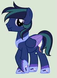 Size: 1217x1677 | Tagged: safe, artist:lominicinfinity, oc, oc only, oc:knight star, pegasus, pony, male, simple background, solo, stallion