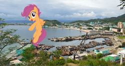 Size: 688x366 | Tagged: safe, scootaloo, pony, g4, chongjin, irl, north korea, older, older scootaloo, photo, ponies in real life