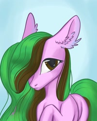 Size: 1080x1350 | Tagged: safe, artist:_quantumness_, oc, oc only, earth pony, pony, ear fluff, earth pony oc, gradient background, raised hoof, solo
