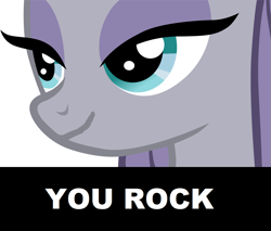 Size: 1280x1090 | Tagged: safe, maud pie, earth pony, pony, g4, maud pie (episode), bedroom eyes, caption, close-up, female, pretty, pun, simple background, solo, vector, white background