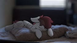 Size: 1280x720 | Tagged: safe, artist:allen2448, oc, oc only, oc:allen, pegasus, pony, comfy, floppy ears, irl, photo, pillow, ponies in real life, sleeping, solo