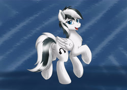 Size: 4960x3507 | Tagged: safe, artist:dragonblue, oc, oc:skyshade, earth pony, pony, simple background, walking, white body