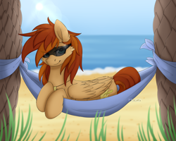 Size: 2500x2000 | Tagged: safe, artist:lionbun, oc, oc only, oc:thunder twirl, pegasus, pony, beach, female, grass, hammock, high res, lens flare, looking at you, mare, palm tree, solo, sun, sunglasses, sunny day, tree