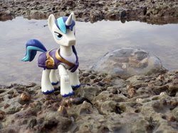 Size: 4128x3096 | Tagged: safe, artist:dingopatagonico, shining armor, jellyfish, pony, g4, beach, guardians of harmony, irl, misadventures of the guardians, photo, solo, toy