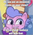 Size: 730x780 | Tagged: safe, edit, edited screencap, screencap, pony, g4, g4.5, my little pony: pony life, one click wonder, caption, condescending wonka, cropped, grammar error, image macro, meme, op is a duck, op is trying to start shit, op is trying to start shit so badly that it's kinda funny, ponified, ponified meme, roald dahl, sarcasm, text, willy wonka, willy wonka and the chocolate factory