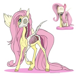 Size: 1200x1200 | Tagged: safe, artist:dementra369, fluttershy, pegasus, pony, freeny's hidden dissectibles, g4, anatomy, bone, dissectibles, female, mare, organs, skeleton, skinny, slender, solo, thin, thin legs, toy interpretation