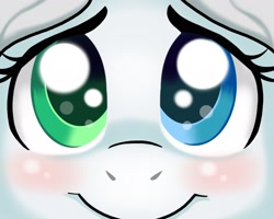 Size: 1920x1536 | Tagged: safe, artist:nazznikonanuke, oc, oc only, oc:cold front, pegasus, pony, heterochromia, solo