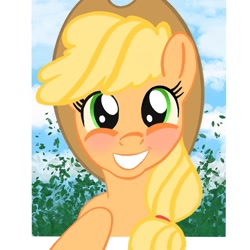 Size: 1080x1080 | Tagged: safe, alternate version, artist:malmela.kolresh, applejack, earth pony, pony, g4, bust, eyelashes, female, grin, hat, mare, smiling, solo