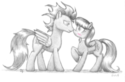 Size: 4200x2748 | Tagged: safe, artist:philo5, octavia melody, soarin', earth pony, pegasus, pony, g4, blushing, boop, crack shipping, female, male, monochrome, noseboop, partial color, shipping, soartavia, straight