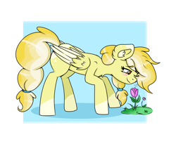 Size: 3826x3137 | Tagged: safe, artist:dreamy990, oc, oc only, oc:cloudy lemonade, pegasus, pony, female, flower, high res, mare, simple background, solo, white background