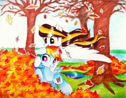 Size: 2964x2322 | Tagged: safe, artist:liaaqila, rainbow dash, oc, oc:tulpa twilight, pegasus, pony, g4, commission, duo, eye clipping through hair, female, high res, leaf pile, leaves, mare, traditional art, tree