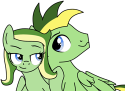 Size: 1280x934 | Tagged: safe, artist:didgereethebrony, artist:mint-light, oc, oc:boomerang beauty, oc:didgeree, pegasus, pony, base used, brother and sister, female, male, siblings, simple background, trace, transparent background