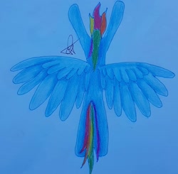 Size: 1080x1060 | Tagged: safe, artist:artiststr, rainbow dash, fly, insect, pegasus, pony, g4, flying, rainbow, traditional art, wings