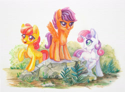 Size: 1600x1178 | Tagged: safe, artist:maytee, apple bloom, scootaloo, sweetie belle, earth pony, pegasus, pony, unicorn, g4, adorabloom, colored pencil drawing, cute, cutealoo, cutie mark crusaders, cutie mark cuties, diasweetes, female, filly, traditional art, trio